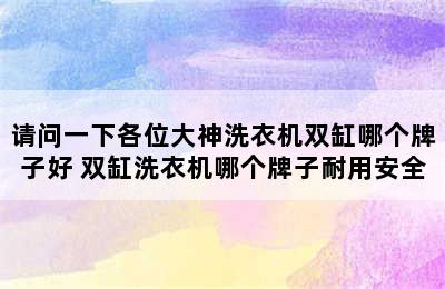 请问一下各位大神洗衣机双缸哪个牌子好 双缸洗衣机哪个牌子耐用安全